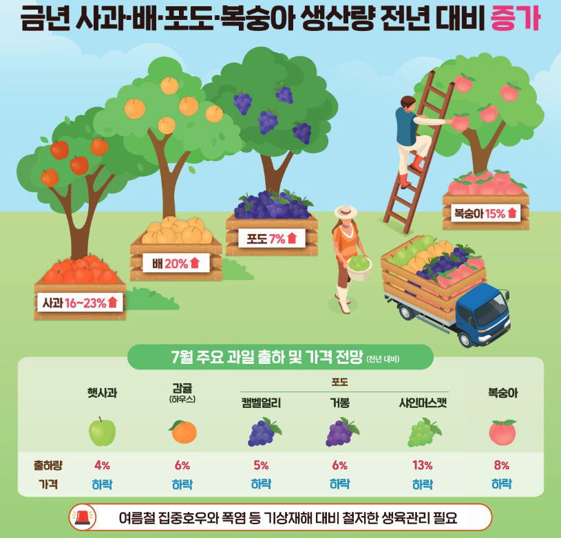 7월 농산물값, 배추·무·당근 오르고 참외·수박 저렴