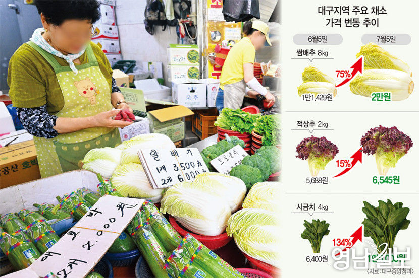 여름 불볕더위와 장마 탓에 채소 가격 급등…외식업주 고민 깊어져