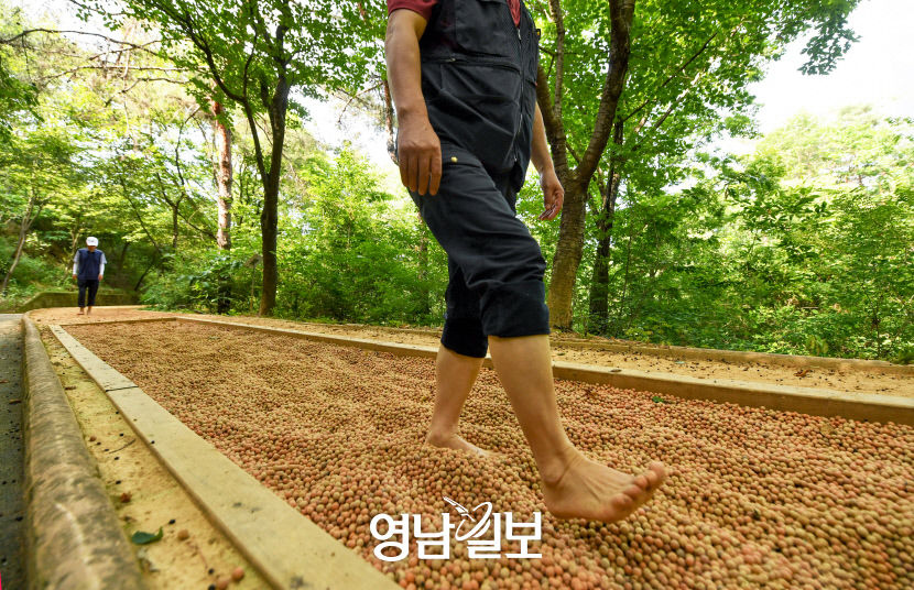 [살고 싶은 도시, 더 좋은 상주. 6] 슬로시티 상주, 느리게 여행하기