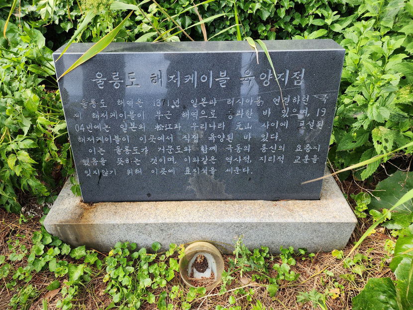 일제 침탈 흔적 상징 울릉도 표지석 수풀 속 방치