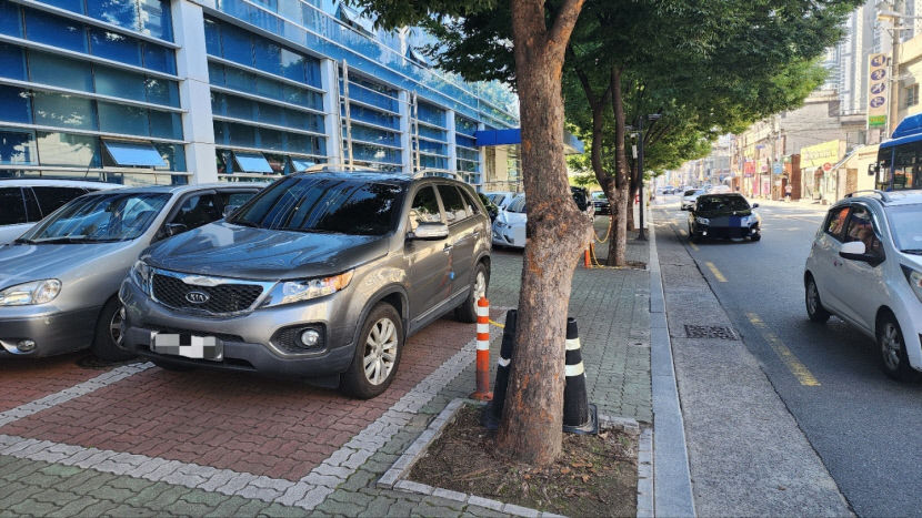 좁은 인도에 차도로 내몰린 아이들…달성초 등굣길 위험천만