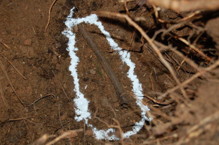 전쟁통에 스러진 18세 청춘…74년 만에 고향 품으로