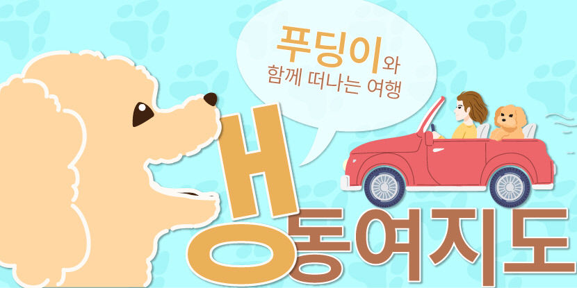 [댕동여지도] 장마철에도 마음껏 뛰놀 수 있는 실내운동장 갖춘 애견카페