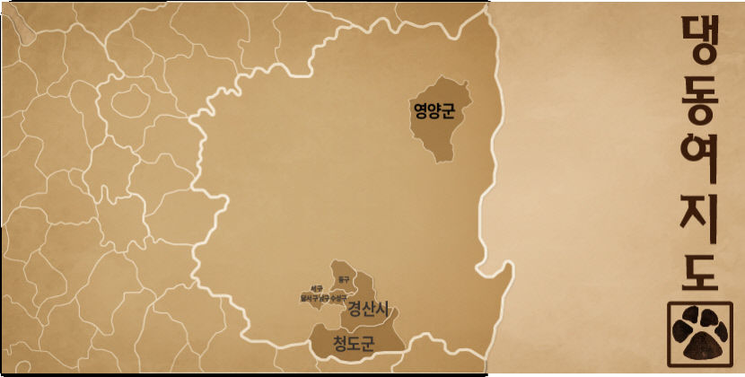 [댕동여지도] 장마철에도 마음껏 뛰놀 수 있는 실내운동장 갖춘 애견카페