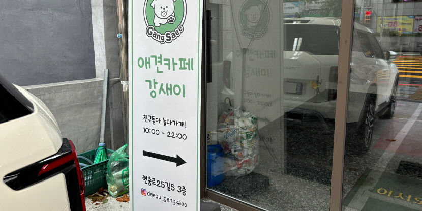 [댕동여지도] 장마철에도 마음껏 뛰놀 수 있는 실내운동장 갖춘 애견카페