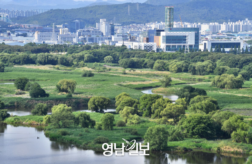[나의 특별한 문화도시, 달성 .5] 자연도 문화다