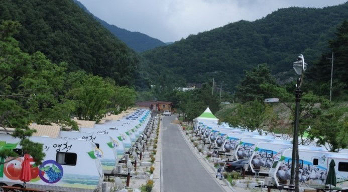 [영천 가볼만한 곳] 시원한 폭포·삼림 벗삼아 최상 트레킹 영천 치산 계곡