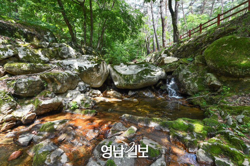 [별천지 영양의 숲과 마을 .3] 검마산자연휴양림