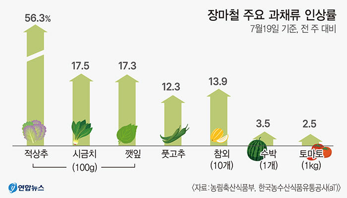 레인+히트플레이션 채소·과채류 가격 줄인상