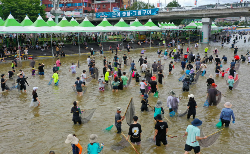 봉화 살충제 사건 여파 축제 앞둔 상인들 한숨…은어축제 27일 개막