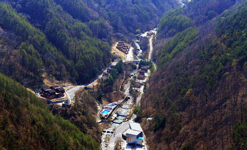 포항시산림조합·동청도농협 산림청 임산물 가공 공모사업 선정