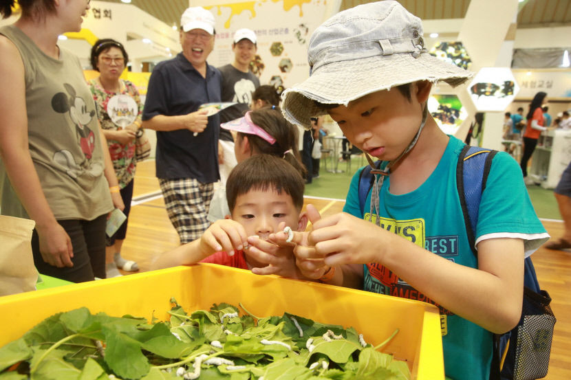 2024 예천곤충축제…여름맞이 곤충의 세계로 특별한 초대