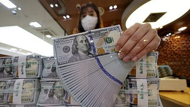 R 공포 확산, 정부 24시 모니터링, 필요 시 컨티전시 플랜 가동