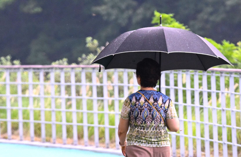 입추에도 대구경북은 폭염·열대야…36℃ 찜통 더위 계속