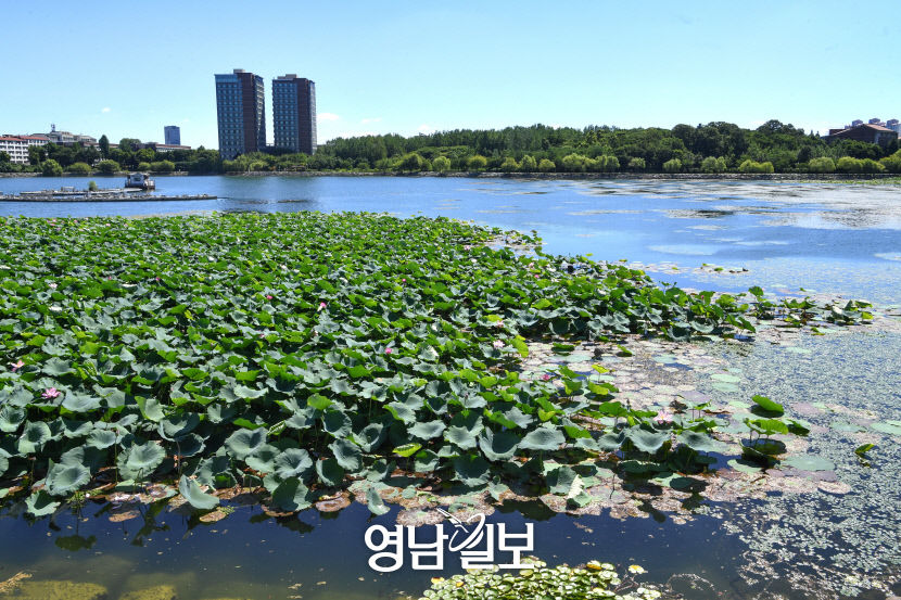 [나의 우주 나의 세계, 경산] (4) 힐링과 물멍의 세계, 경산 대표 저수지 10선