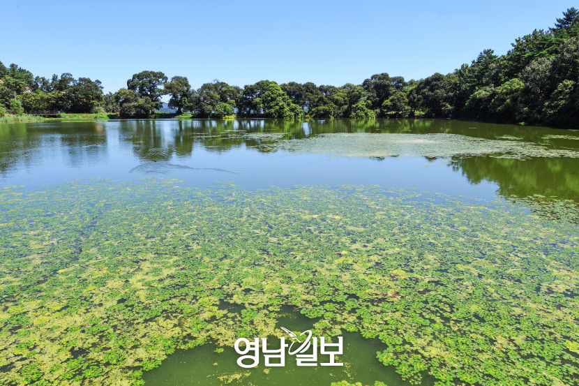 [나의 우주 나의 세계, 경산] (4) 힐링과 물멍의 세계, 경산 대표 저수지 10선