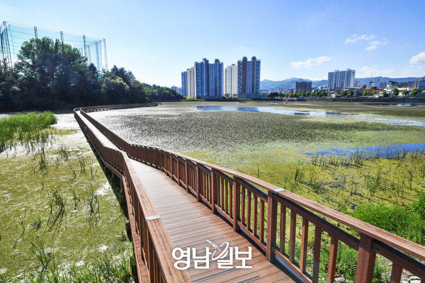 [나의 우주 나의 세계, 경산] (4) 힐링과 물멍의 세계, 경산 대표 저수지 10선
