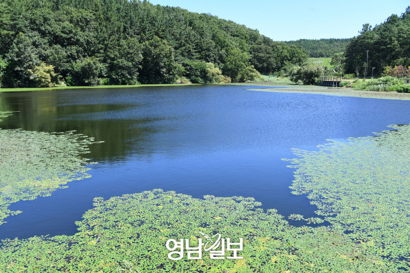 [나의 우주 나의 세계, 경산] (4) 힐링과 물멍의 세계, 경산 대표 저수지 10선