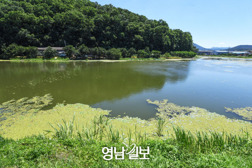 [나의 우주 나의 세계, 경산] (4) 힐링과 물멍의 세계, 경산 대표 저수지 10선