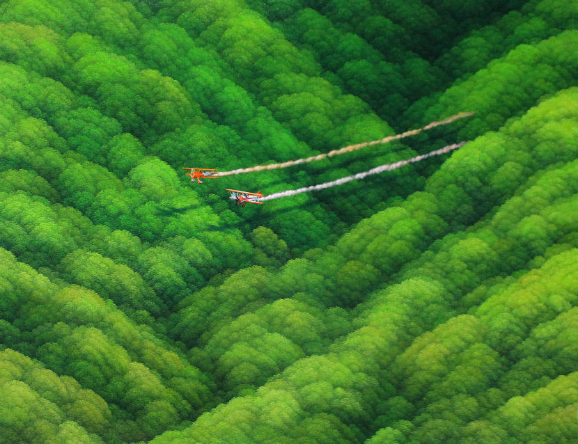 키다리 갤러리, 노혜영 작가 초대전 FOREST : The utopia in my heart