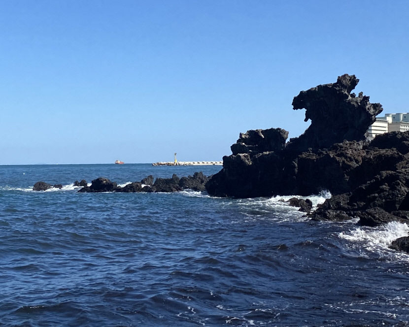 [위클리포유 커버 스토리] 제주도 뚜벅이 여행 (2) 무지개 해안 따라 꼬닥꼬닥 걷다보면 지쳐있던 마음에 푸른 꿈이 몽글몽글