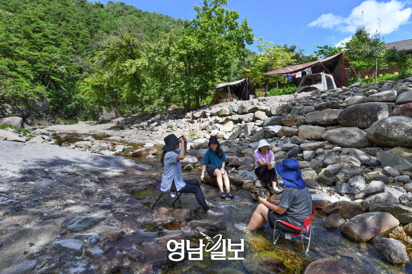 [별천지 영양의 숲과 마을 .5] 창방우골 주상절리 숲