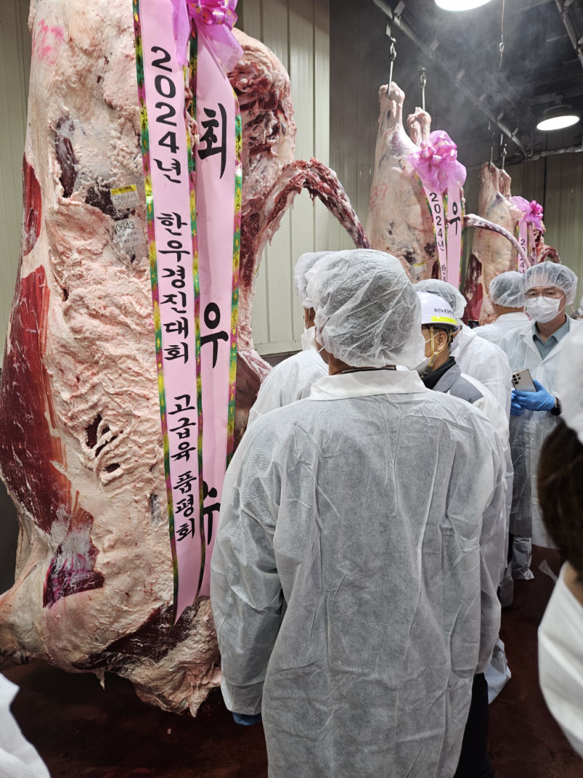 경북한우경진대회서 경주 최삼호 씨 최우수 농가 선정