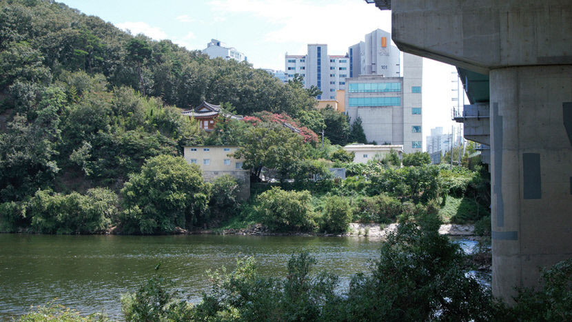 [주말&여행] 대구 달성군 죽곡 댓잎소리길…竹竹 뻗은 쾌적한 숲길, 무더위를 잊는다