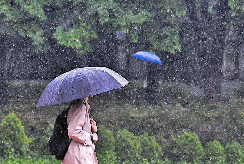 [내일 날씨] 20일 대구·경북 낮에는 소나기 밤에는 열대야…낮 최고 31~36℃