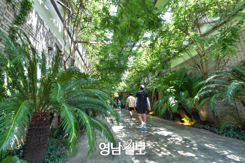 [청도 구석구석 로컬 힙 프로젝트 .1] 청도카페 완전 정복기