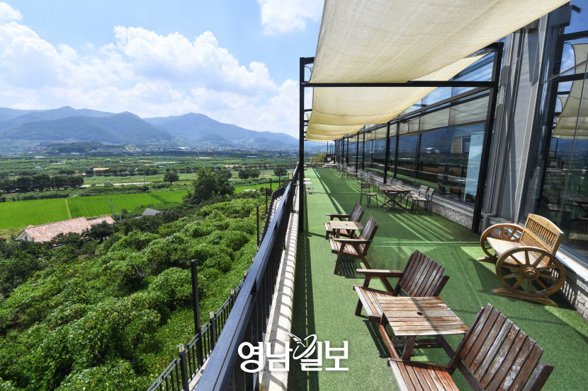 [청도 구석구석 로컬 힙 프로젝트 .1] 청도카페 완전 정복기