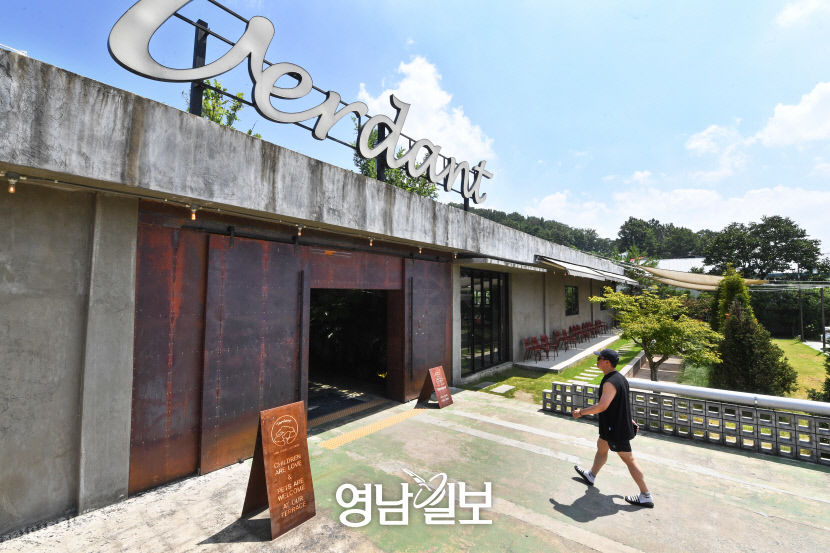 [청도 구석구석 로컬 힙 프로젝트 .1] 청도카페 완전 정복기