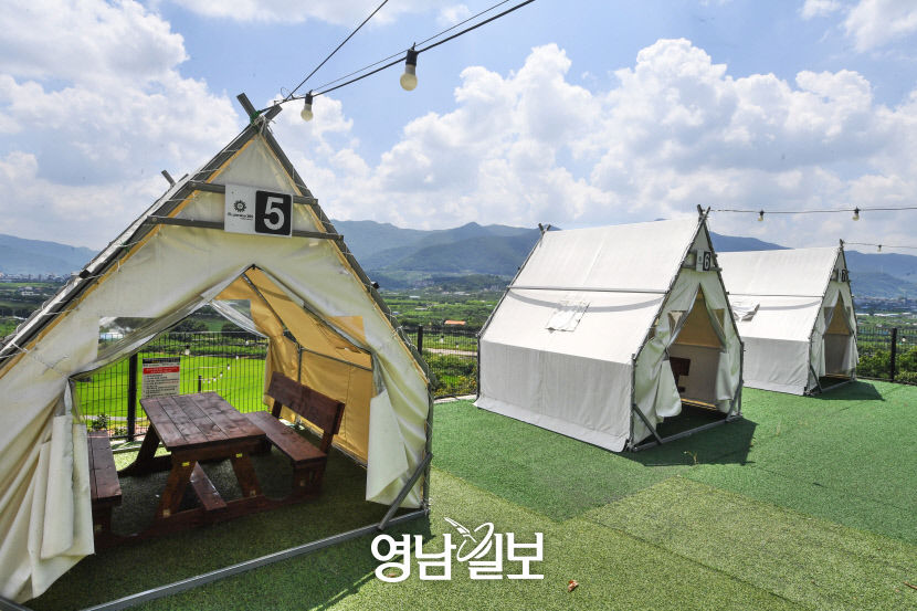 [청도 구석구석 로컬 힙 프로젝트 .1] 청도카페 완전 정복기