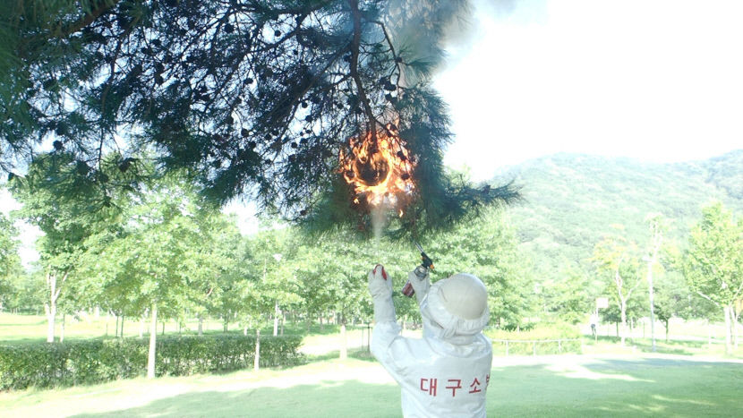 폭염에 더 활발해진 벌…추석 성묘객 Bee상