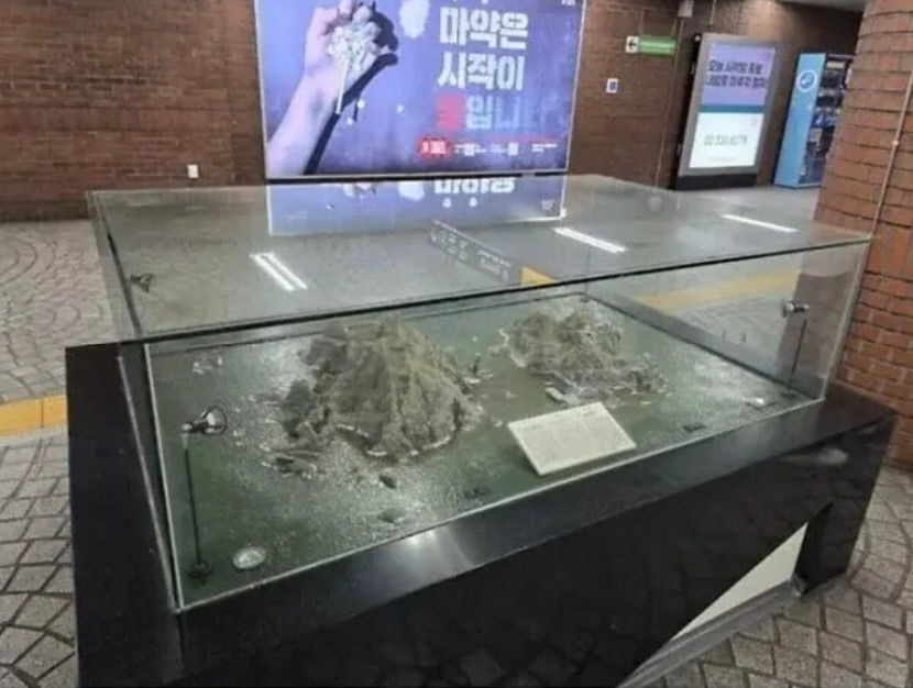 독도 두고 여야 설전…野 친일 독도 지우기 중단하라 vs 與 日원하는 것