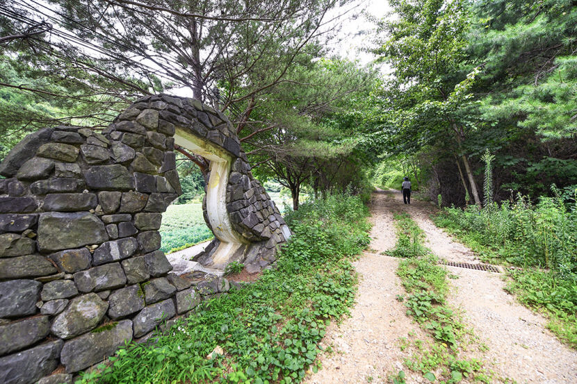 [별천지 영양의 숲과 마을 .6] 대티골 치유의 숲