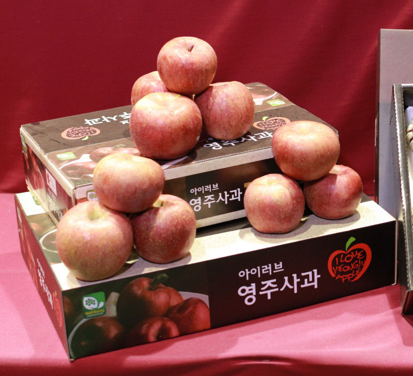 [추석 선물특집] 영주시, 청정지역 우수 특산품 인기몰이
