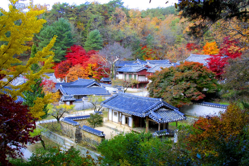 [안동 가볼만한 곳]  유네스코 세계유산 도산서원서 9월 매 주말 야간경관 즐겨요