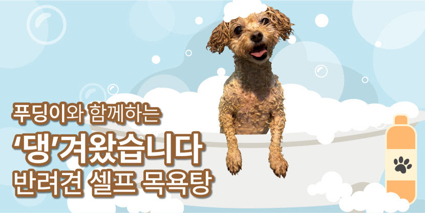 [댕겨왔습니다] 24시간 셀프로 이용할 수 있는 반려견 목욕탕 강아지트 이용기