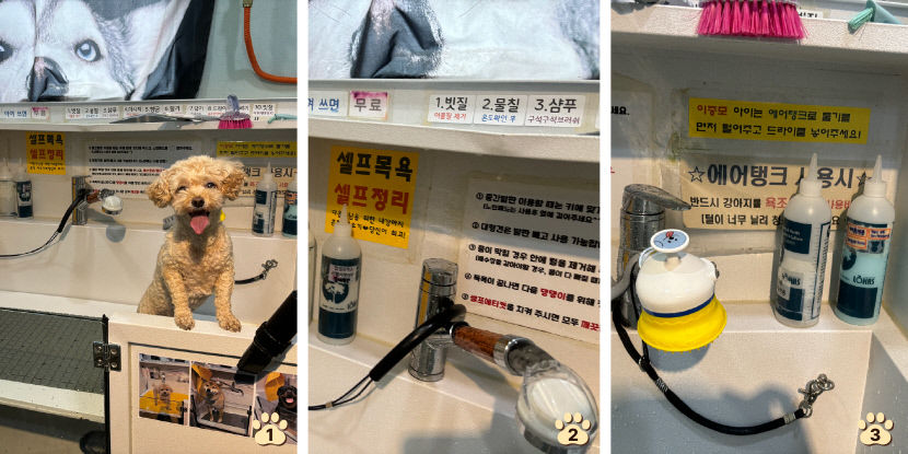 [댕겨왔습니다] 24시간 셀프로 이용할 수 있는 반려견 목욕탕 강아지트 이용기
