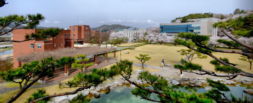 [2025 전문대 수시] 경북전문대, 작업치료과 5년연속 국가고시 100% 합격