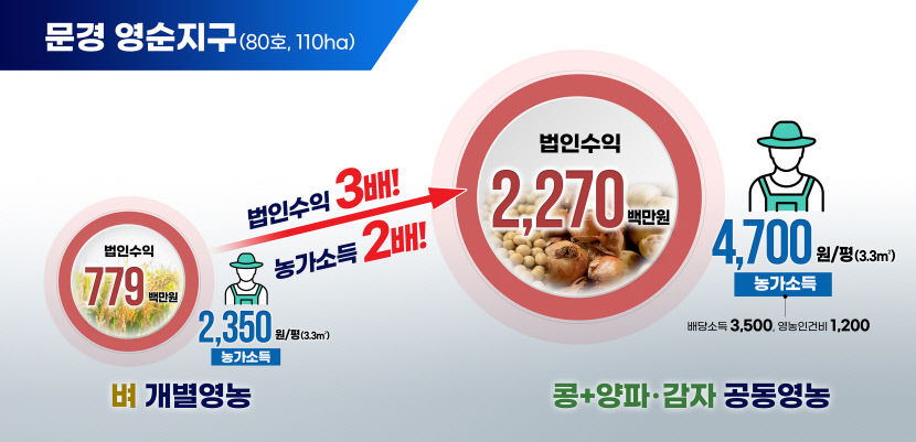 경북 농업대전환 대박…이모작 논 임대 평당 4천700만원 두 배 수익
