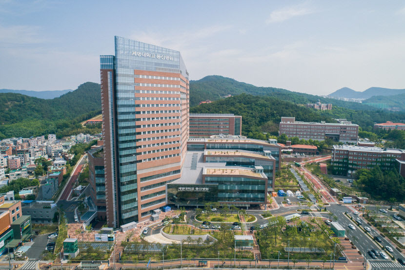 계명대 동산병원·대구파티마병, 환자경험평가 최상위…경북대병원 고전
