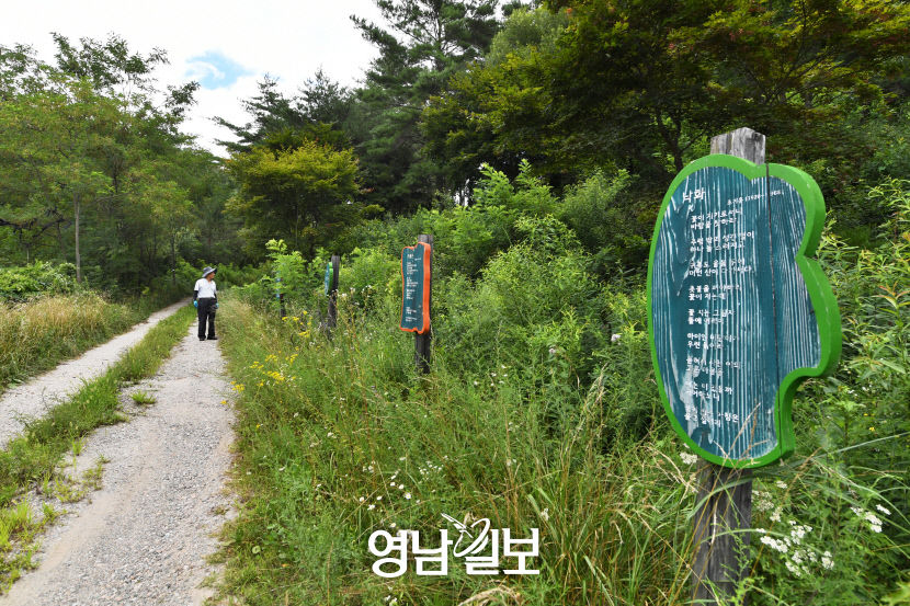 [별천지 영양의 숲과 마을 .7] 문바우 마을 시가 있는 아름다운 임도