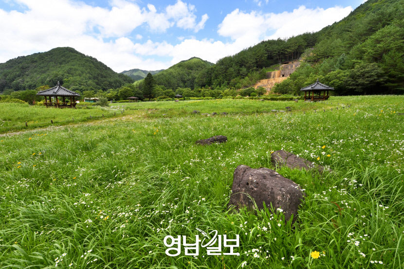 [별천지 영양의 숲과 마을 .7] 문바우 마을 시가 있는 아름다운 임도