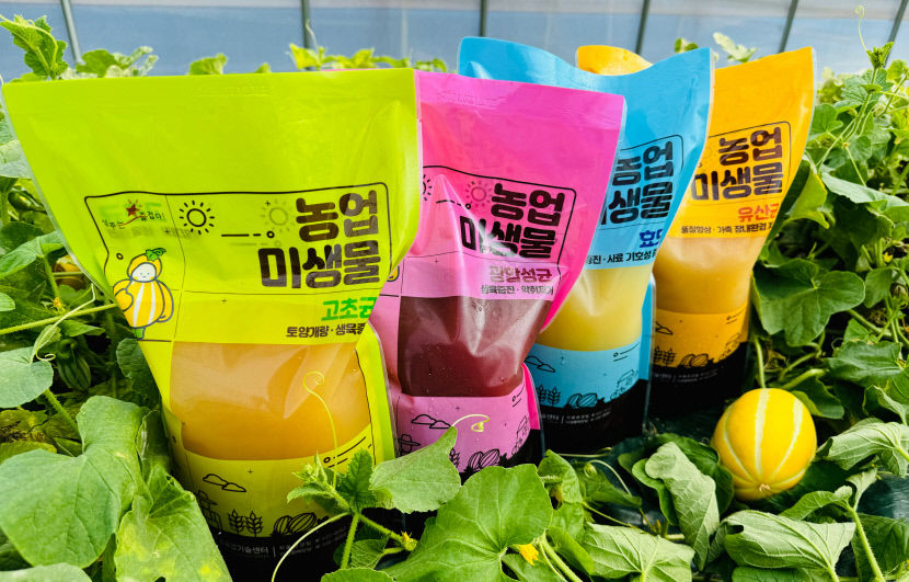 똑소리 나는 기술혁신…스마트 참외 농업 선도하는 성주