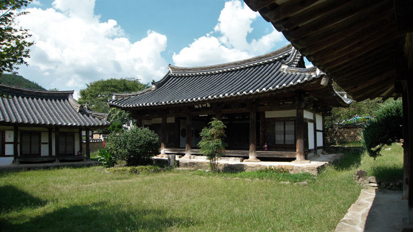 혜산서원. 영조 때인 1753년 격재 손조서를 추모하기 위해 건립된 서원이다. 대처 앞 둥그런 나무가 600년 되었다는 차나무다.