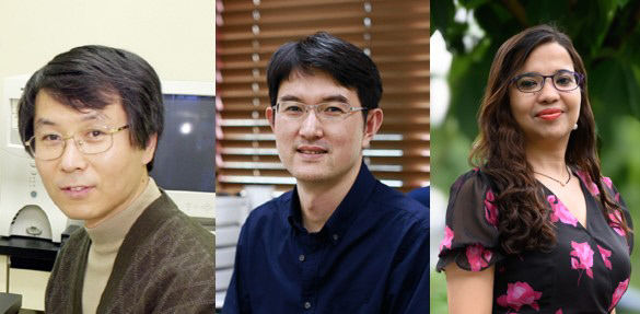 이산화탄소 바다에 녹여 지구 온도 낮춘다