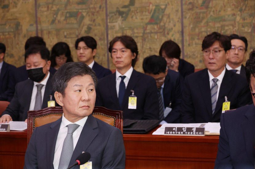 축구장 대신 국회에…정몽규·홍명보, 축구협회 논란 현안질의