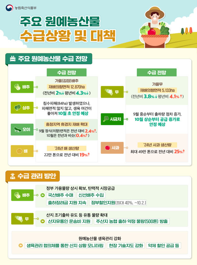 배추 한포기 도매가 9천537원 당분간 공급 부족